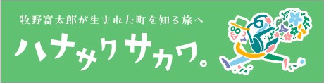 ハナサクサカワ