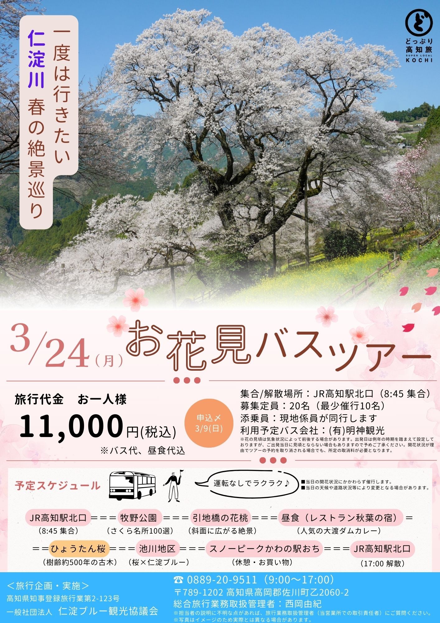 一度は行きたい仁淀川春の絶景巡り　お花見バスツアー