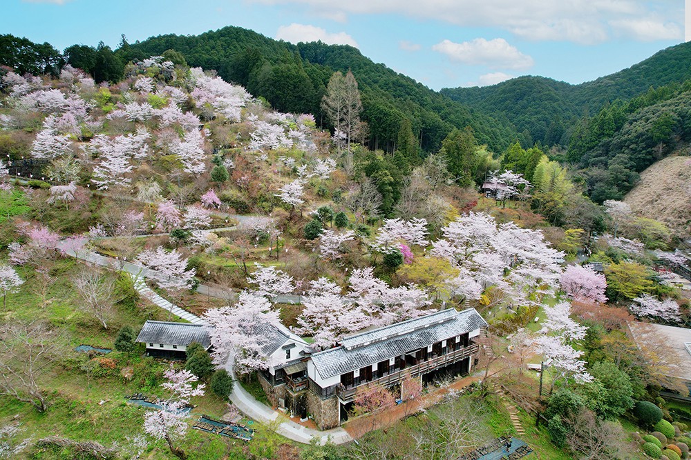 牧野公園コース（60分）