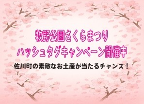 ハッシュタグキャンペーン